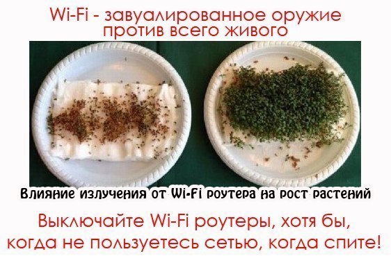 Wi-Fi ����� �� �����... � ��� ����� ����.