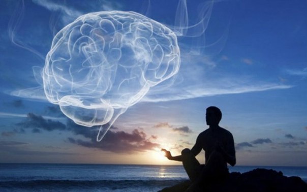 ��� ������ ���������� �������?