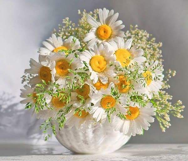 ������ ����� ������� ������ ����� ������...