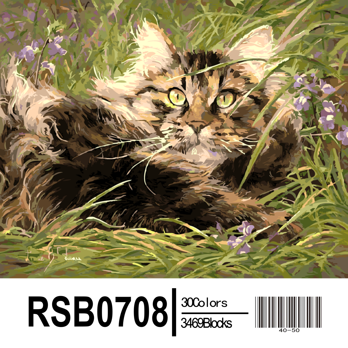 ���� �������.������� �� �������, ��������.����� 12