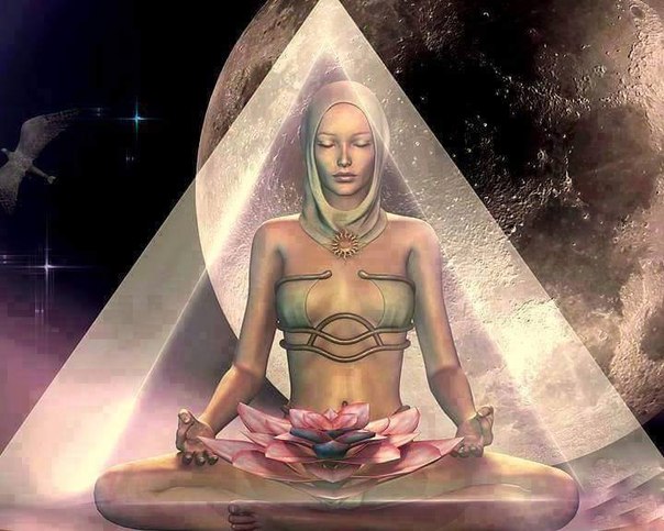 ������ ��������� �������� ������� ������ �����