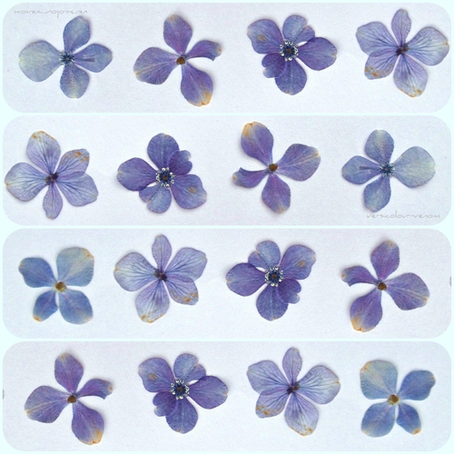 �������, ��� ��� ���� ��� �����, ��� ������� ���� �� ������� ��...