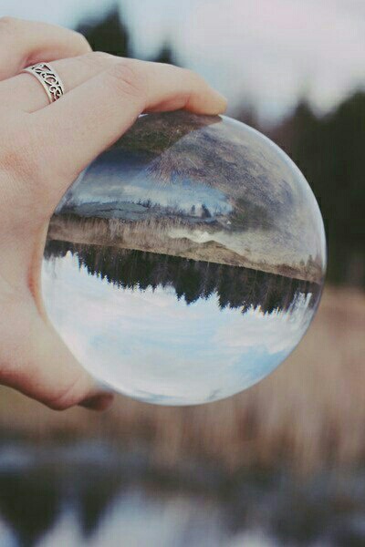 ������ ���� ���������. �������� ���������� �� ��� ����� �� ��������...