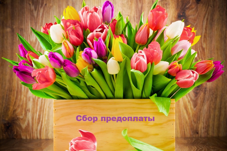 ���� ����������. ������-���������� - ��������� �� �����-2016!