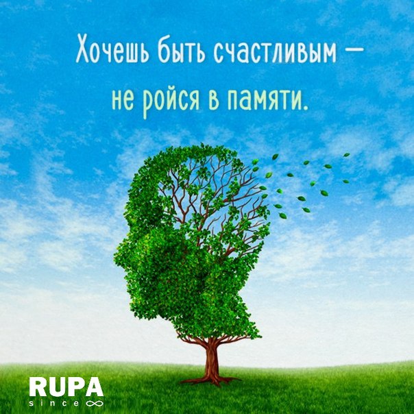 ���� ����� � ������