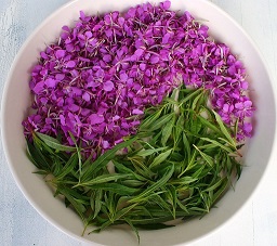 ���� �������. ������ ���������. ��� � ���������� ������� � �����-�����. ����-��� (������ ���������� ������������). ������ ����-4