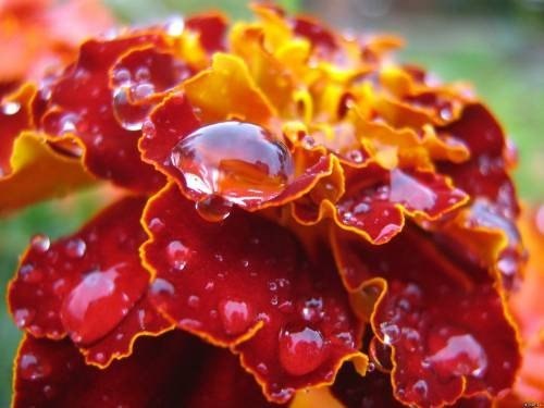 ��������� �����