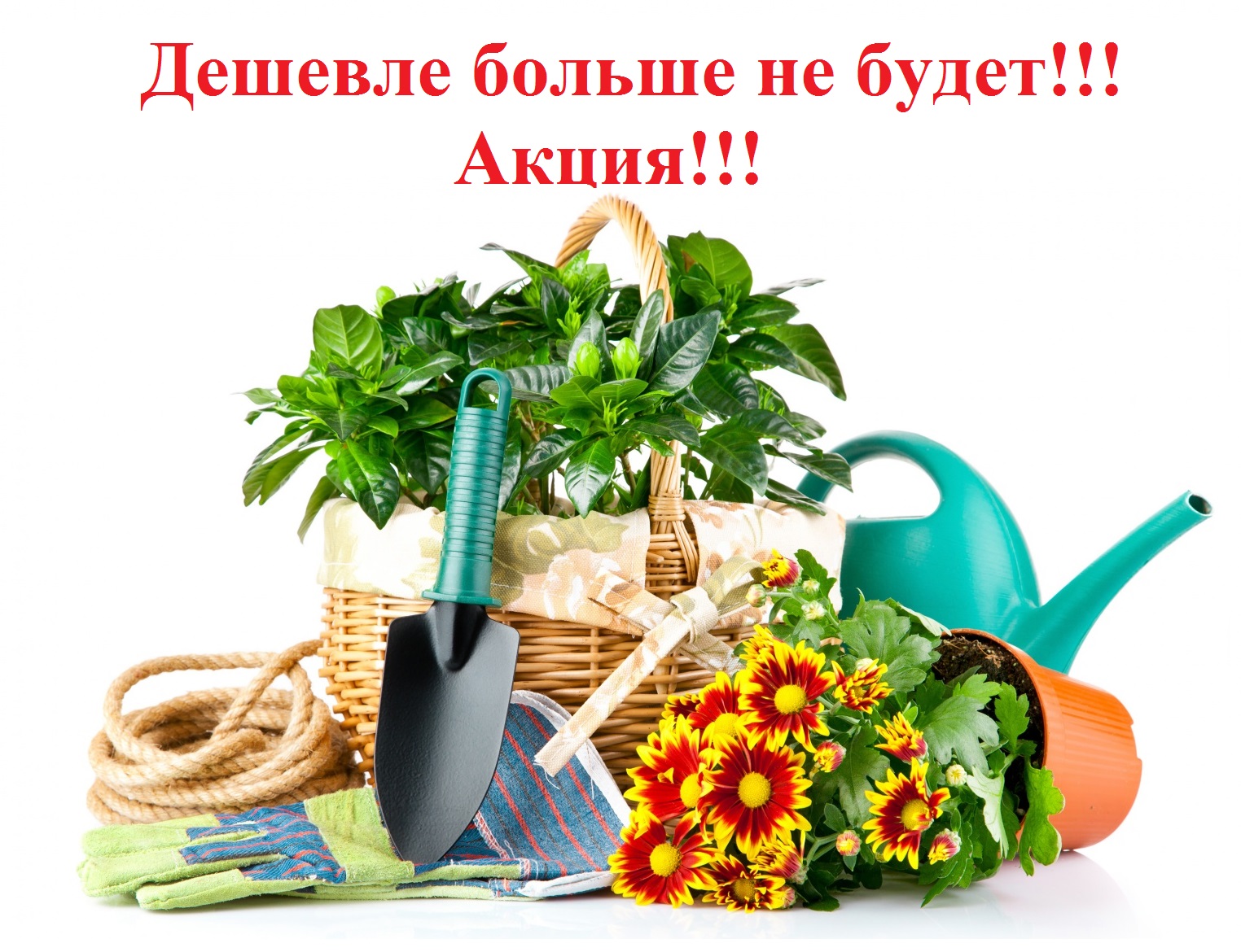 ���� �������. ��@���� ������� - ��� �� ������ ������� ������, �� � ���������� ����� �� ����� ������� �������. ������� ����������� � ������ �� ������� �����, ������� � ������� ��� ��������, �������������� � �� ������.. - 6.2016. �����! ���� 17 ����.