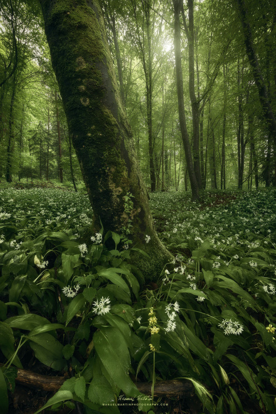 � ��������� �� ���� �����, ������ ������...