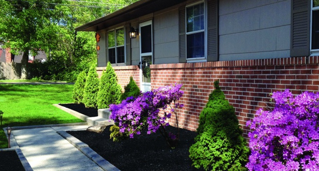 ���� �������. ������������� ���������� - ������ �����@��. ������ ��� ����� �������� � ��������� ������ ����. ����� 2. ���� 17 ����.