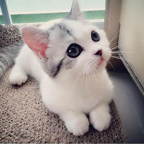 ���� - �������!!!