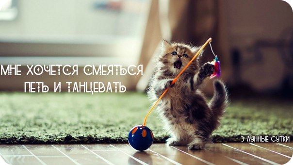 ��� ������� ��������, ���� � ���������