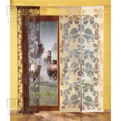 ���� �������. �������� �����. ����������� �������� �������� �������- 29. ��������� ��������� � �����, �����, ����