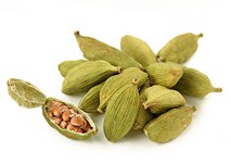 ������ ������ ��������