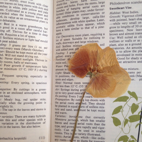 ������� ������, �� ��� ������������ ������ ���� �����.... (�) ����� ���������