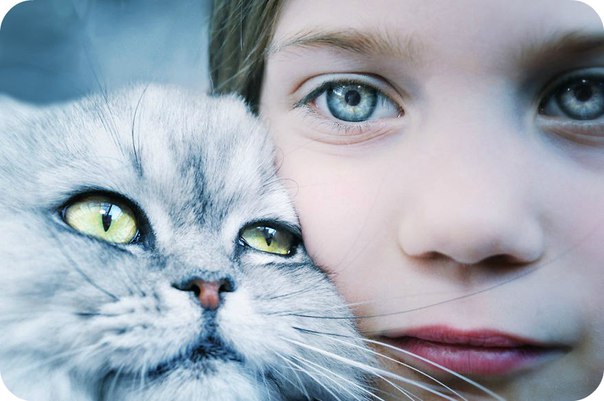 ��� ������ ������� ��� ������