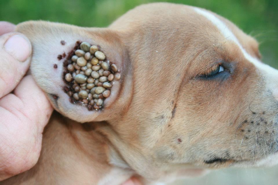 ����� ���, ��� ������������ ��������� �������: ����������� ��������� �����, �����, ����� �� ������ �� ��������������� ������!