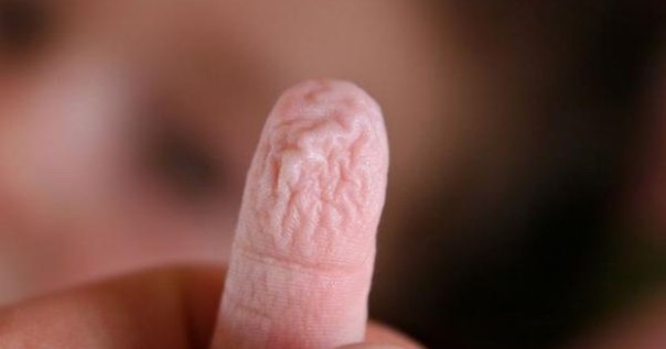 ������ ���� ������ ��� � ��� ���������� ������������ �� ������� ���������� � ����