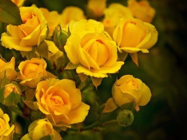 8 �������� ����������� ���