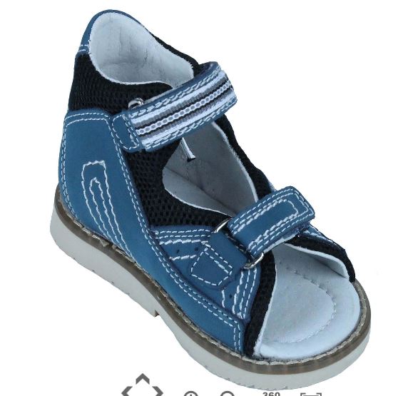 ���� �������. �������������� ����� ��������� ������ O rtotian. ��� �����. ������ ����������� ���������. ����� ��������