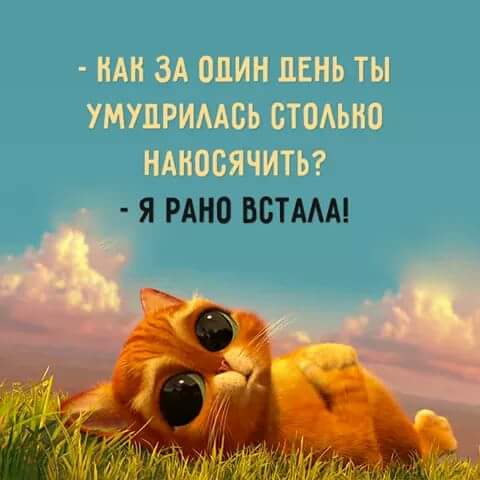 ������ ������ �� ������ ����� - ����....