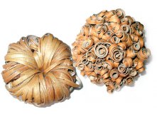 ��ң�� ����� ��������. ������� ��������.