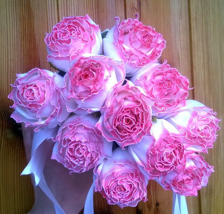 ���� � �������!