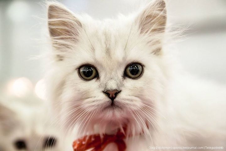 �� ����� �� ����� ��� ������� �����, �� �������� ����