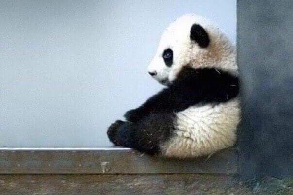 ������ �������, ��� ����� ����� �������, ��� ������ ����� � �����������...