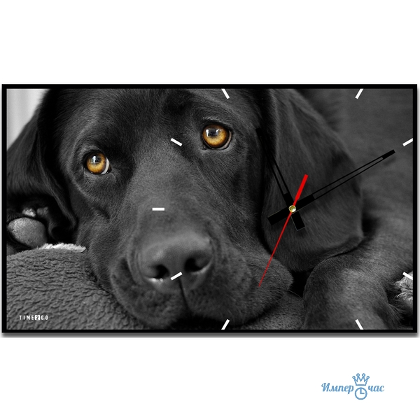 ��������� ���� �� ����� ����. ����-�������. �����. �����. ����������� ������