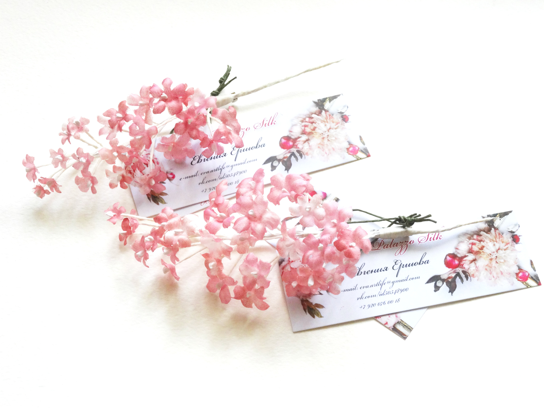 ��������� ������� ������-�������!