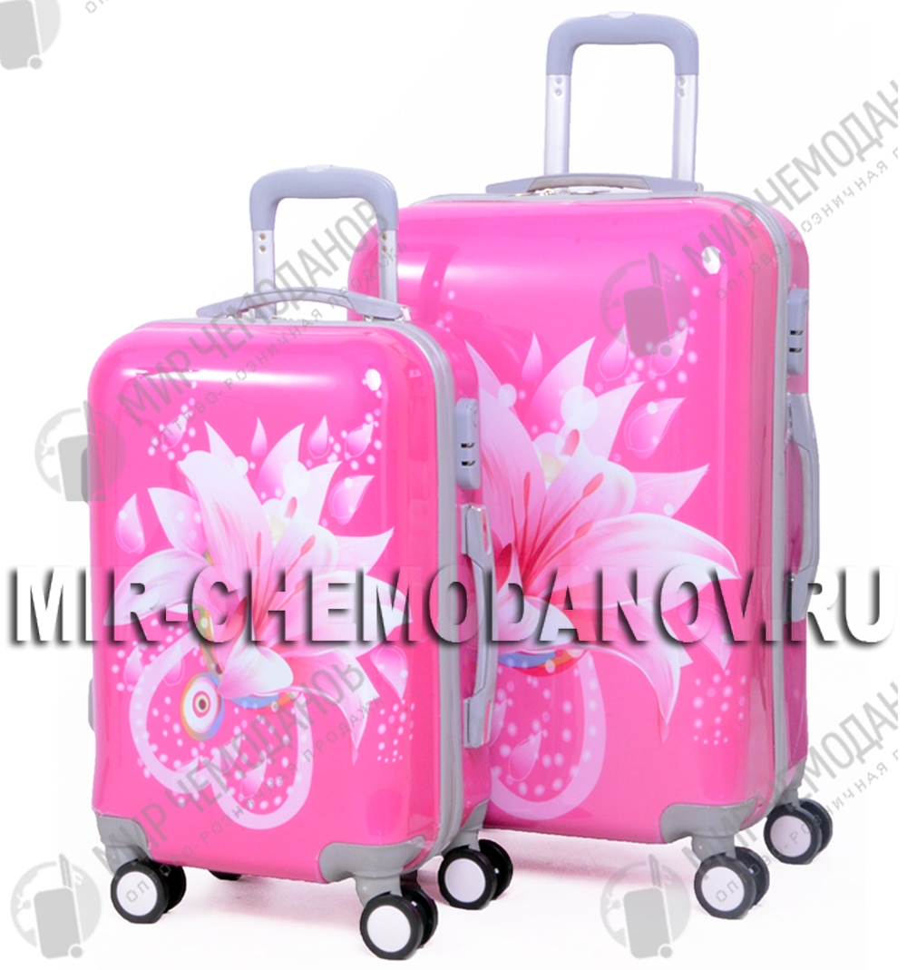 ���� ��������, �����, �����, �������