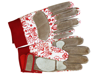 �������� ��� ���!