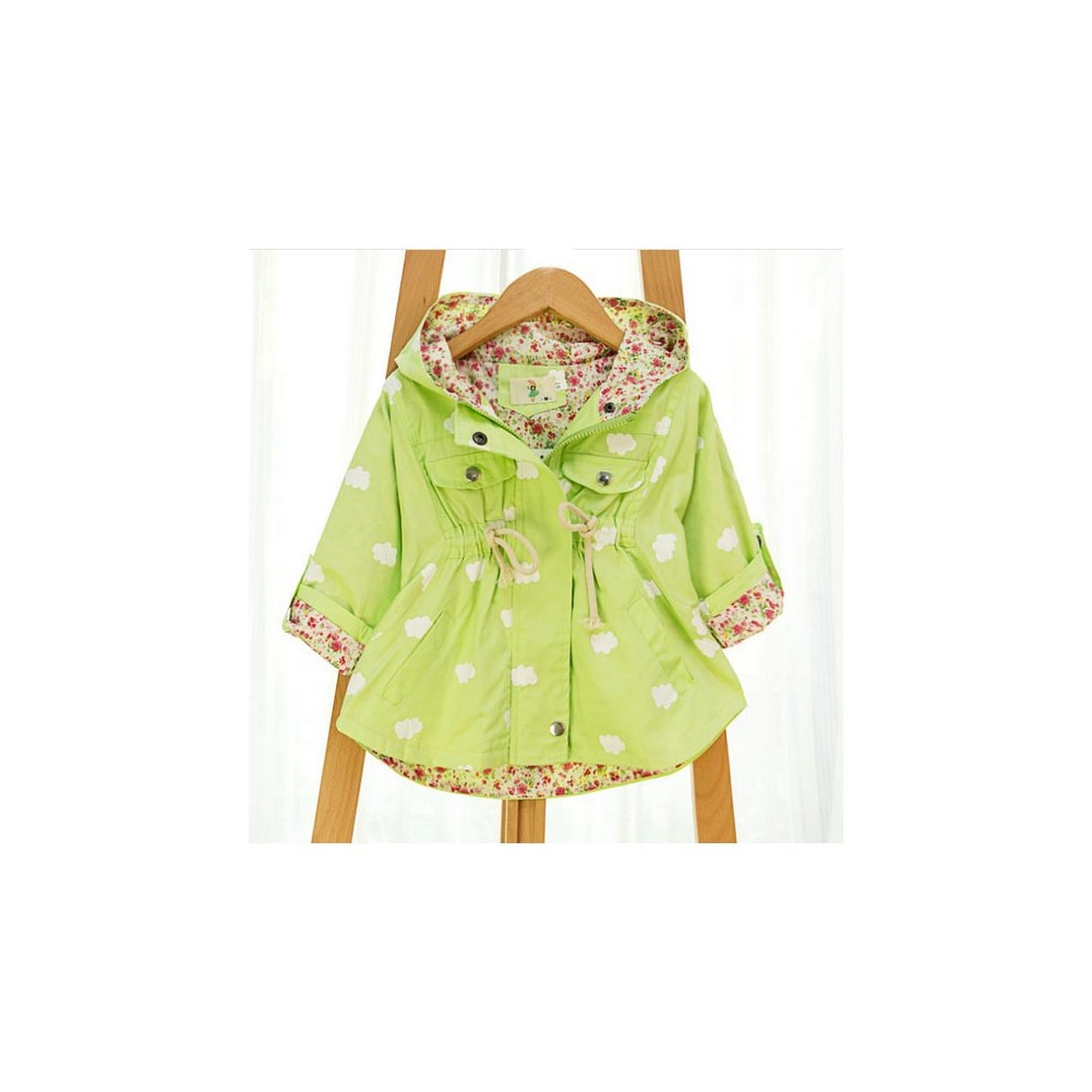 ���� �������. ������� ������.