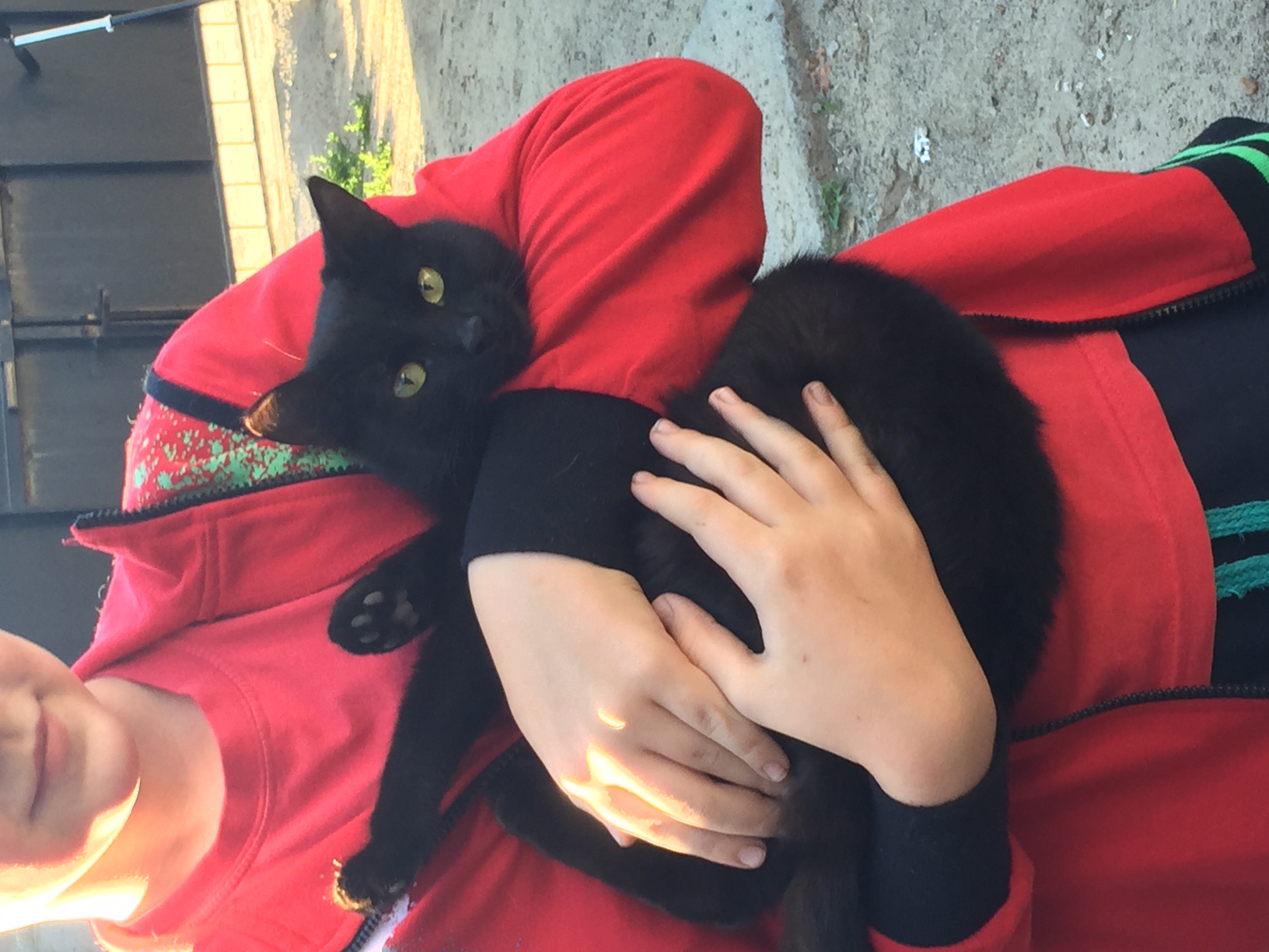 �������, ��������� � ���� ����� �������� �������, ��������� ������, �� ��� ���-�� ���-����. ���� ������� ����. �������� �� ����, � ��� ��� 3 �����- ��� ���������.. ����� � ������ ����. ���������. ����� ��������