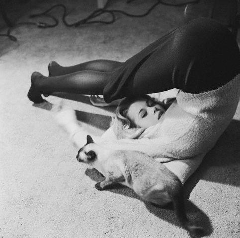 ����� ����� ������...