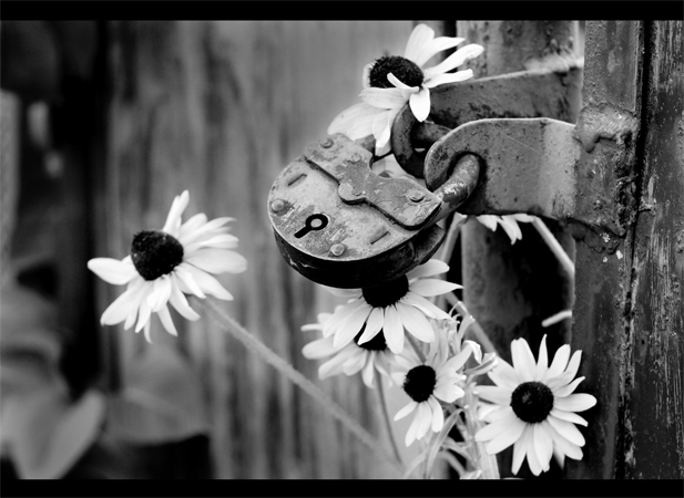 ������, �� �� ����������� �����, ������? (�) ����� �������