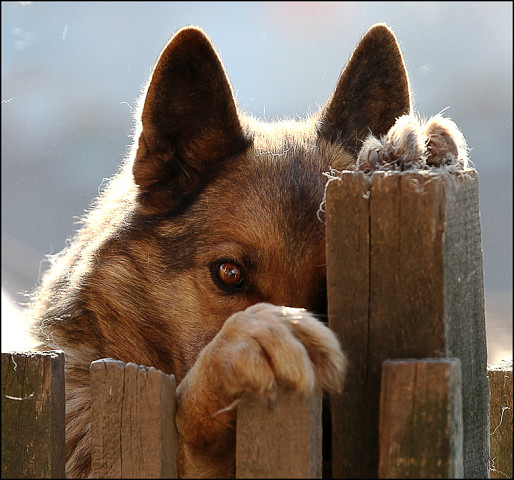 �������, ��� ������� �� ����� ������� �����