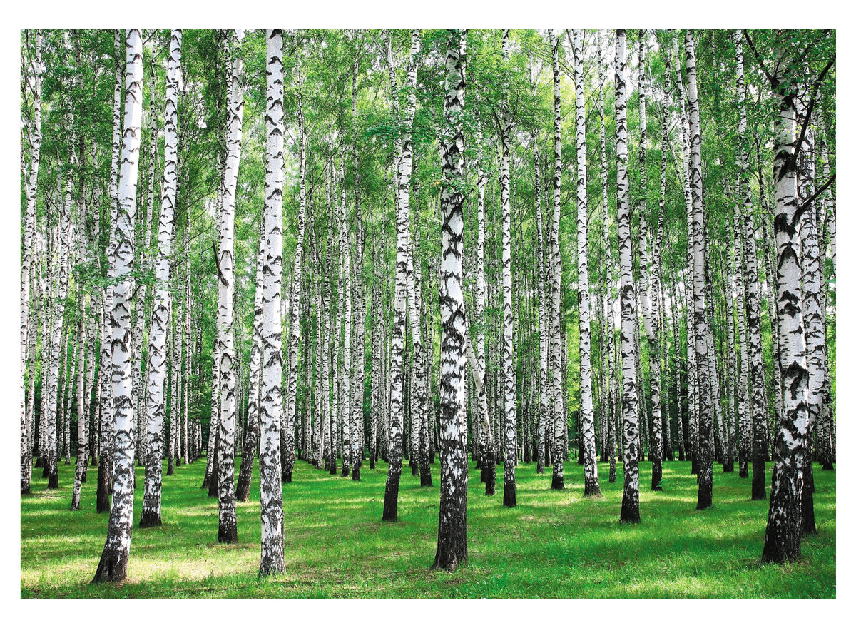 ���� �������. �������� - �������� �����! ����! - ����