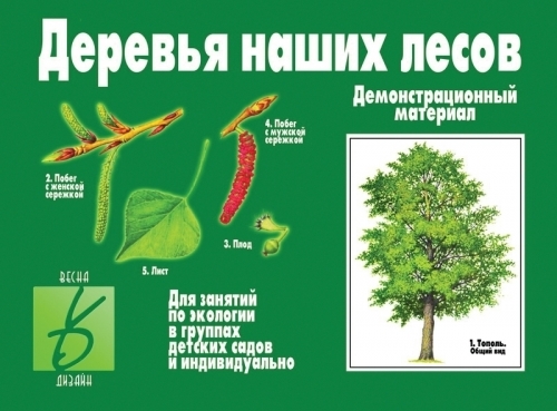 ���� 13 ����.������������� ���� �� 50 ������,������� ������� �� 12 ������ ��� ������� � ������������� � ���������� � �����.