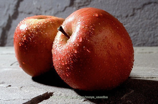 ��� ��������� ������