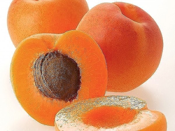 ��������� �������� - 10 ��������