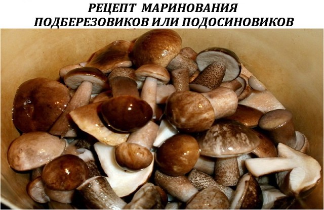 ������ ����������� �������������� ��� ������������� - ��������� � ������