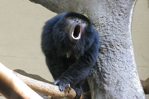 10 ������ � ��������, ������������, ��� ��� �������� �����