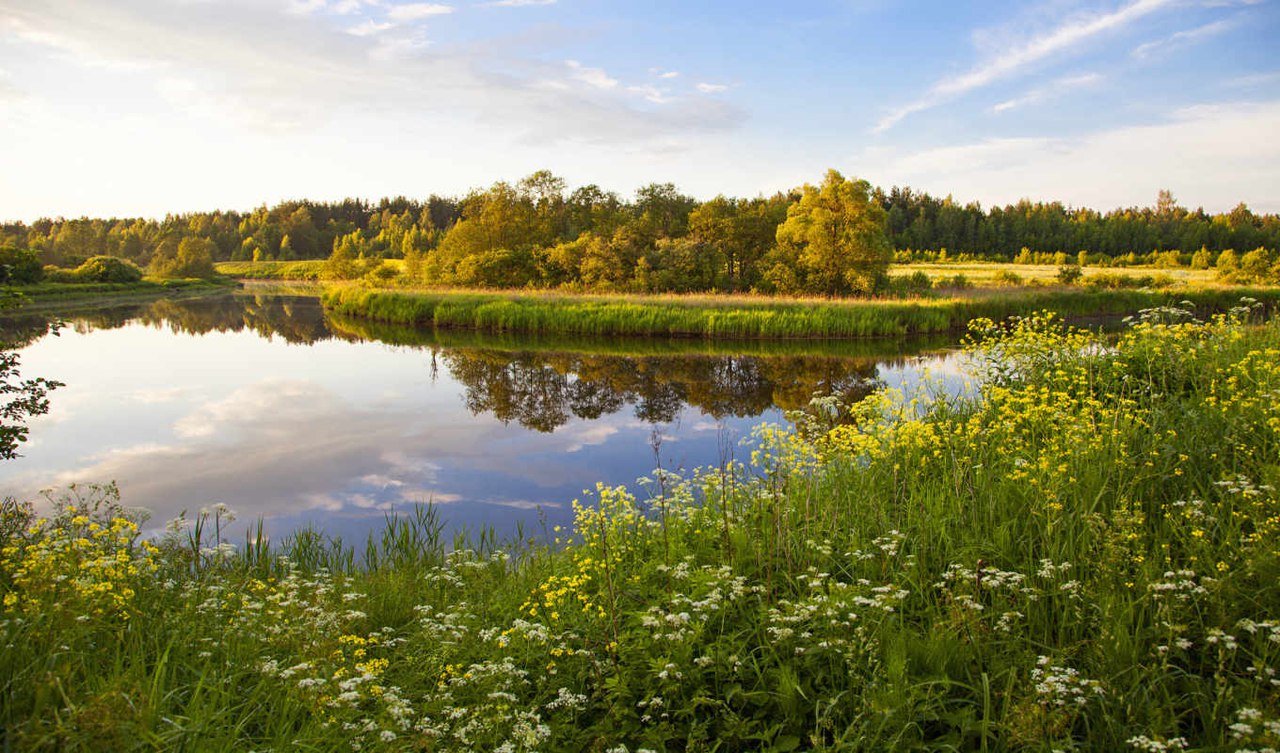 ���� - ��� �����