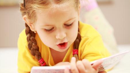 ���� �������. ����� �����. ������, ���������, ����������. ������� ����. ���� 1