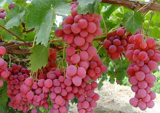 ��������. ��������� �� ����� 2017!