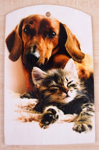 ������������ ����������� ����� �� ����� ���� �� 145 ������