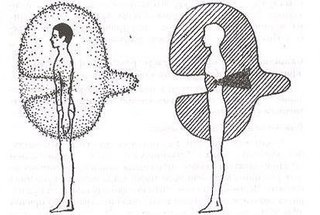 ��� ����� ��������� �����������. ������� ���������� �� ����