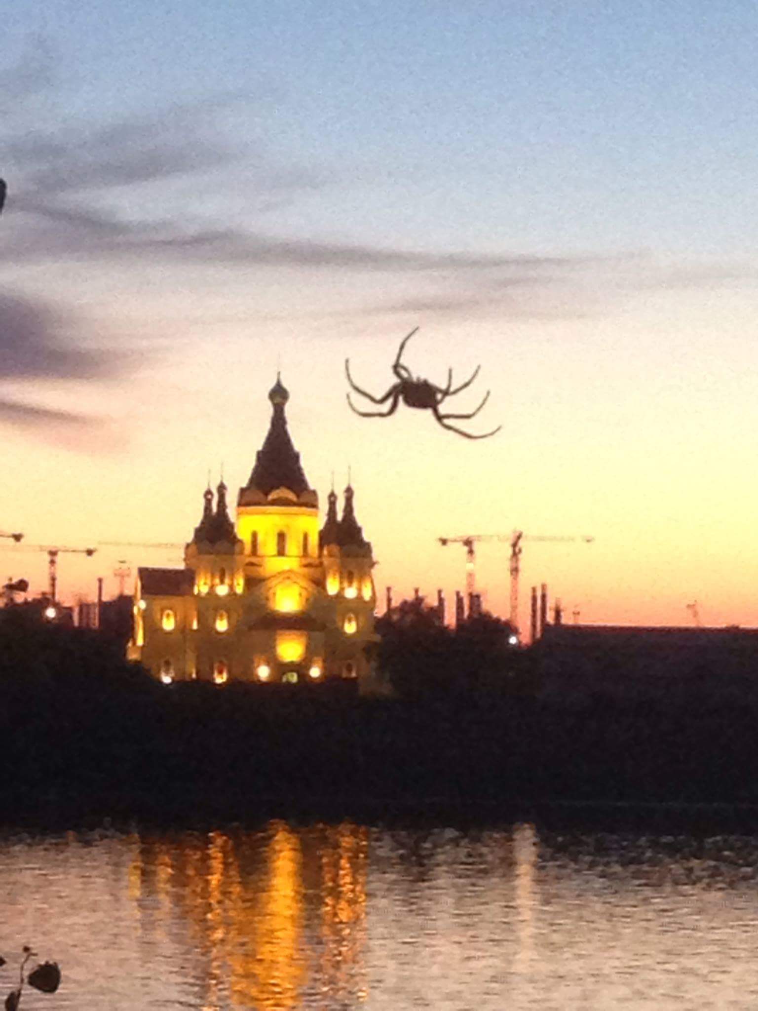 �������- ����?